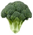 Broccoli Crown Org.