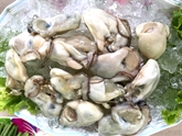 Oysters Blue Point