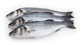 Sea Bass (Black) Whole