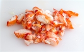 Lobster Meat Fresh Cooked