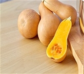 Butternut Squash