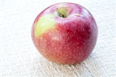 Local Macoun Apples