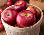 Cortland Apples