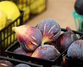 Fresh California Figs (16oz.)