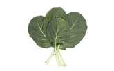 Organic Collard Greens