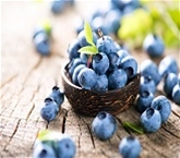 Organic Blueberries 6OZ