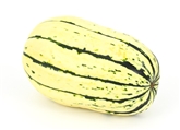 Delicata Squash