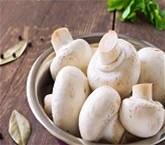 Mushrooms White