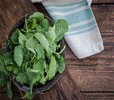 Baby Kale (5oz)