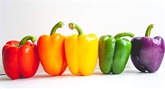 Peppers Rainbow Organic
