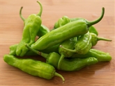 Peppers Shishito