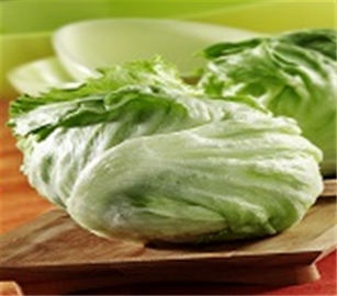 Iceberg Lettuce