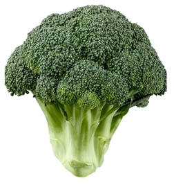 Broccoli Crown Org.