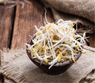 Bean Sprouts