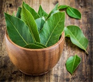 Bay Leaves, Fresh A&V
