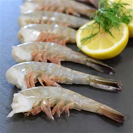 U-6 Shrimp Raw Shell On
