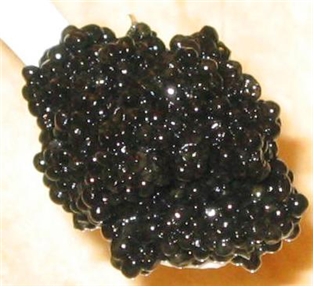 American Sturgeon Hackleback Caviar 7Oz