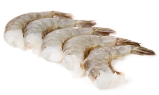 Super Colossal Shell on Raw Shrimp