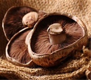 Portobello Mushrooms