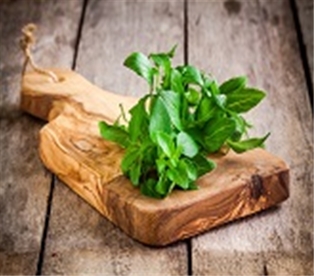 Basil A&V