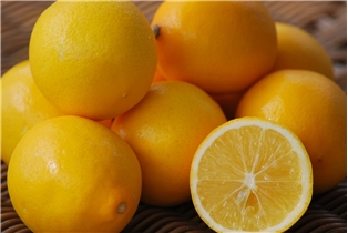 Lemon Meyer Bag