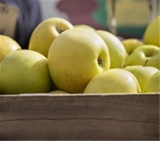 Local Golden Delicious Apples