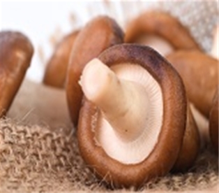Shiitake Mushrooms, Organic