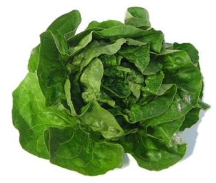 A&V Butter Lettuce Leaves (5oz)