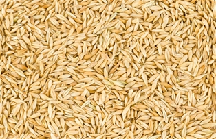 A&V Barley 28 OZ