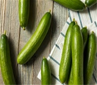 Organic Persian Cucumbers (16 oz.)